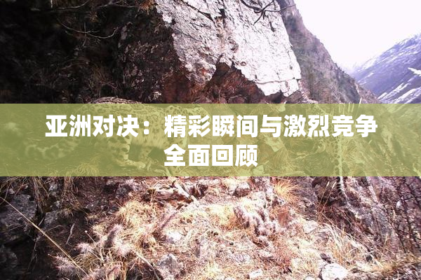 亚洲对决：精彩瞬间与激烈竞争全面回顾