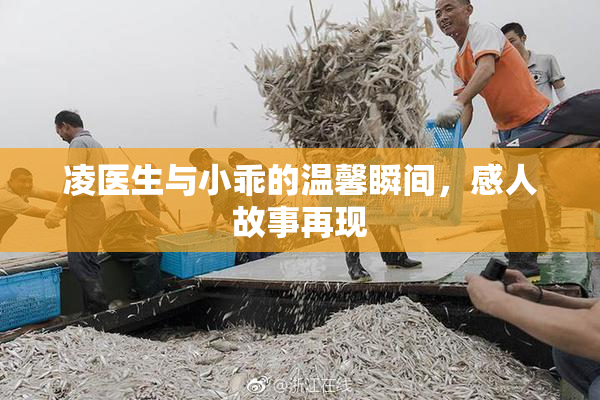 凌医生与小乖的温馨瞬间，感人故事再现