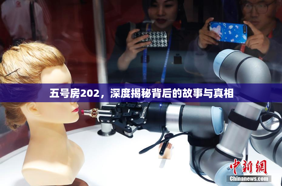 五号房202，深度揭秘背后的故事与真相