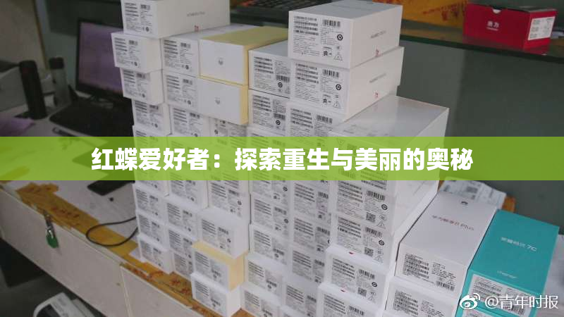 红蝶爱好者：探索重生与美丽的奥秘