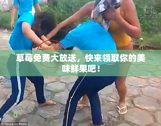 草莓免费大放送，快来领取你的美味鲜果吧！
