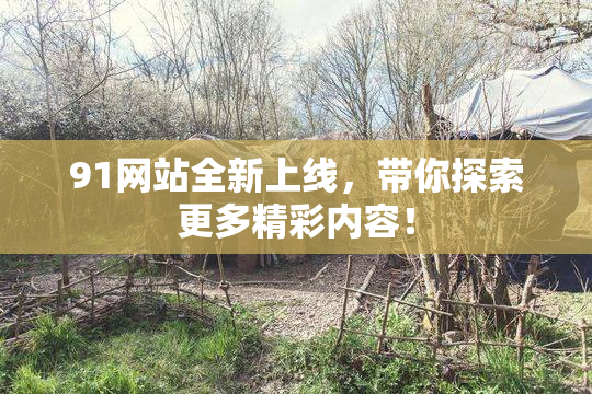 91网站全新上线，带你探索更多精彩内容！