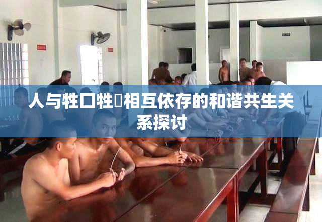 人与牲囗牲恔相互依存的和谐共生关系探讨