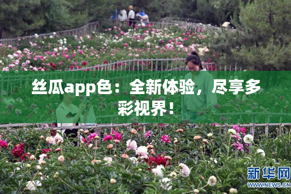 丝瓜app色：全新体验，尽享多彩视界！