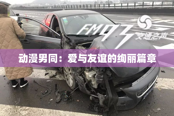 动漫男同：爱与友谊的绚丽篇章