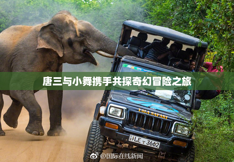 唐三与小舞携手共探奇幻冒险之旅