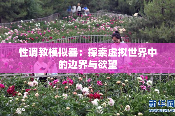 性调教模拟器：探索虚拟世界中的边界与欲望