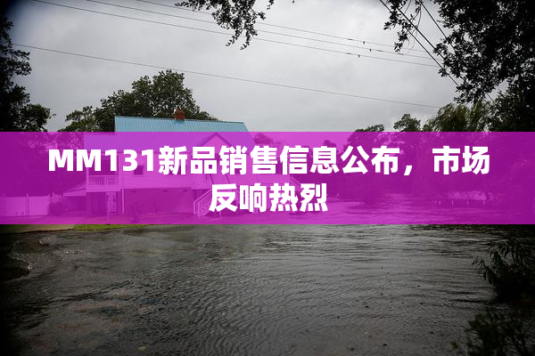 MM131新品销售信息公布，市场反响热烈
