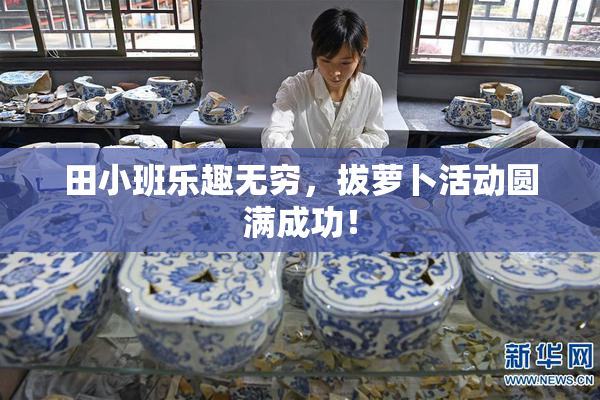田小班乐趣无穷，拔萝卜活动圆满成功！