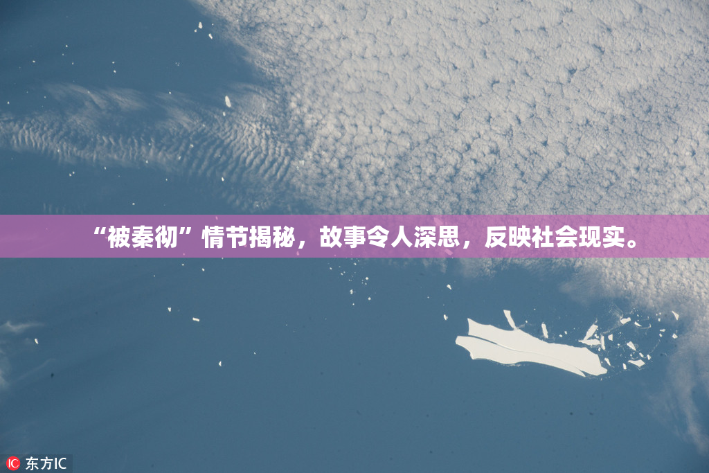 “被秦彻”情节揭秘，故事令人深思，反映社会现实。