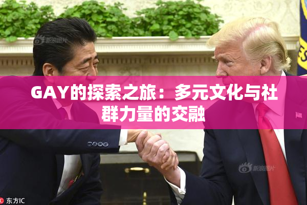GAY的探索之旅：多元文化与社群力量的交融