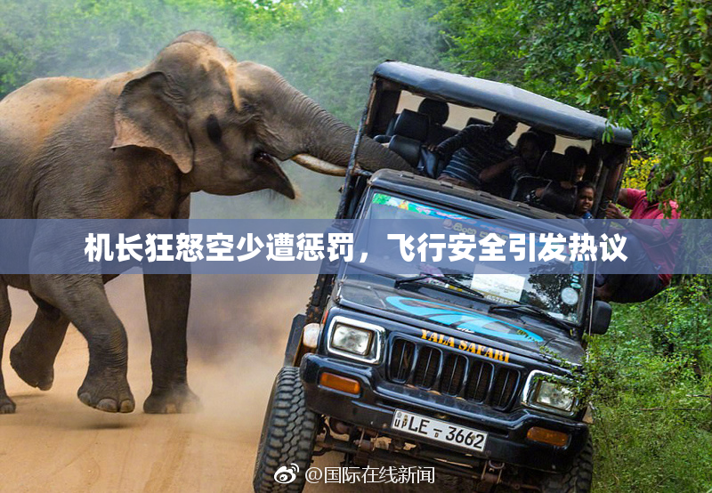 机长狂怒空少遭惩罚，飞行安全引发热议
