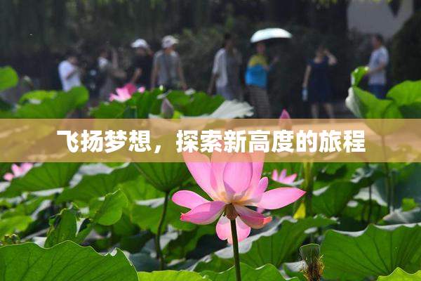 飞扬梦想，探索新高度的旅程