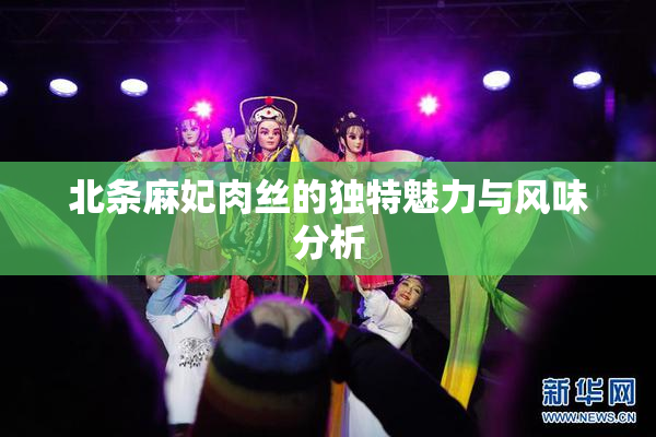 北条麻妃肉丝的独特魅力与风味分析