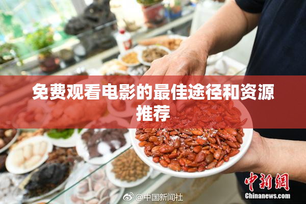 免费观看电影的最佳途径和资源推荐