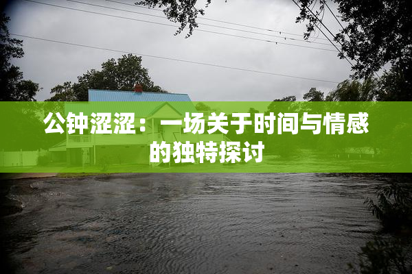 公钟涩涩：一场关于时间与情感的独特探讨