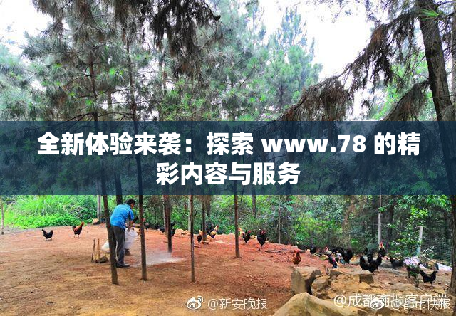 全新体验来袭：探索 www.78 的精彩内容与服务