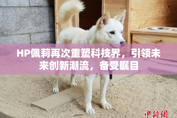 HP佩莉再次重塑科技界，引领未来创新潮流，备受瞩目
