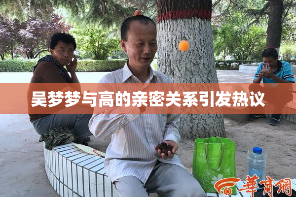 吴梦梦与高的亲密关系引发热议