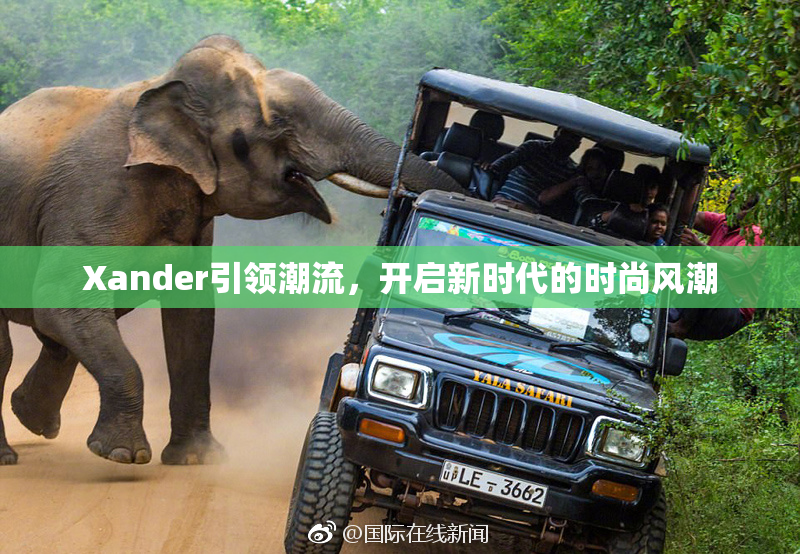 Xander引领潮流，开启新时代的时尚风潮
