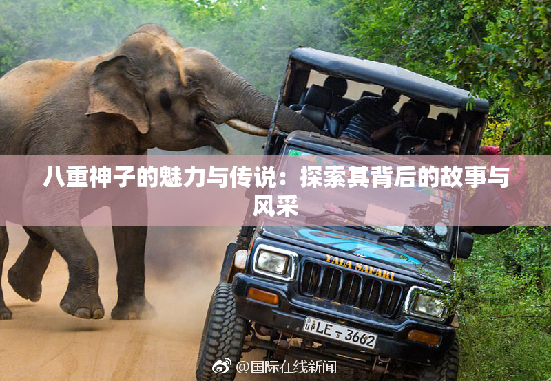 八重神子的魅力与传说：探索其背后的故事与风采