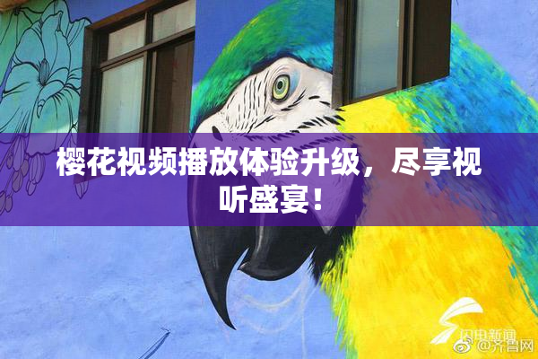 樱花视频播放体验升级，尽享视听盛宴！