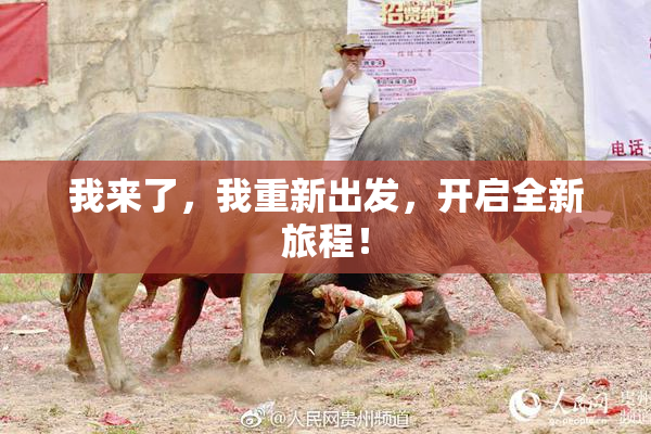我来了，我重新出发，开启全新旅程！
