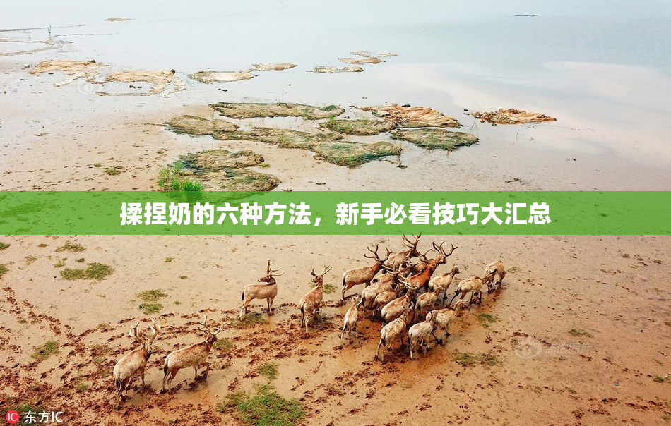 揉捏奶的六种方法，新手必看技巧大汇总