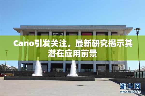 Cano引发关注，最新研究揭示其潜在应用前景