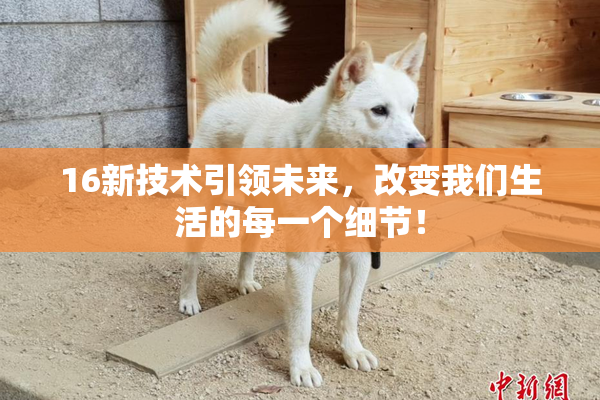 16新技术引领未来，改变我们生活的每一个细节！