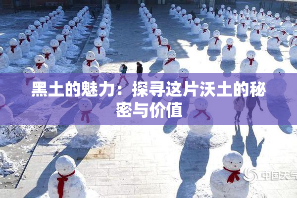 黑土的魅力：探寻这片沃土的秘密与价值