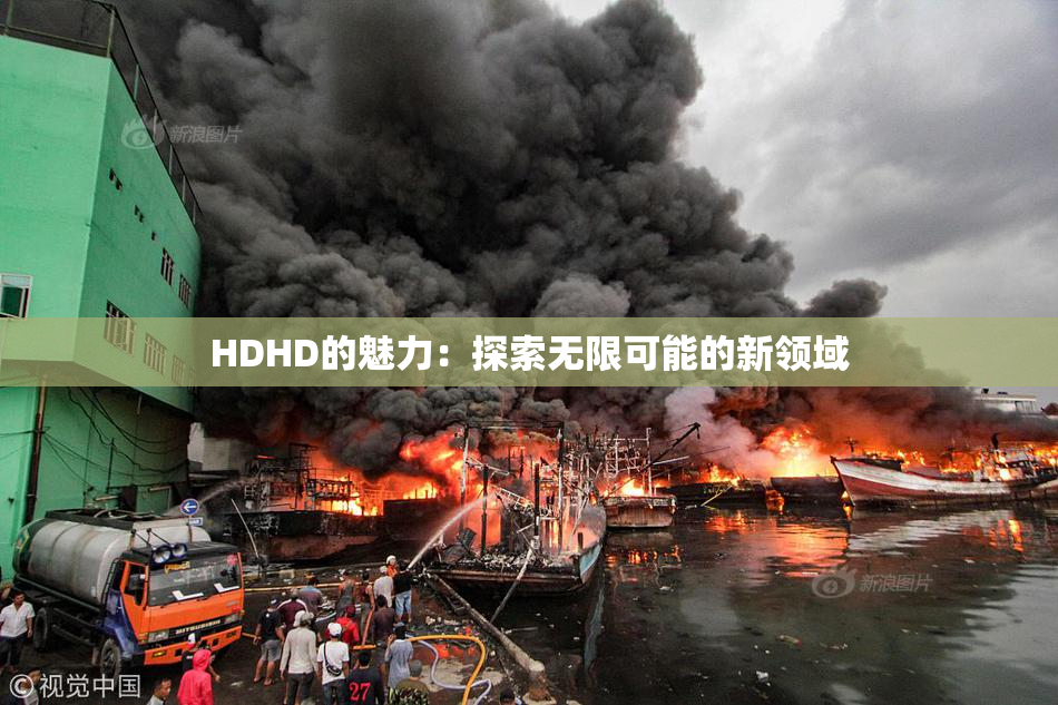 HDHD的魅力：探索无限可能的新领域