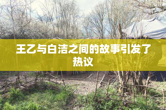王乙与白洁之间的故事引发了热议