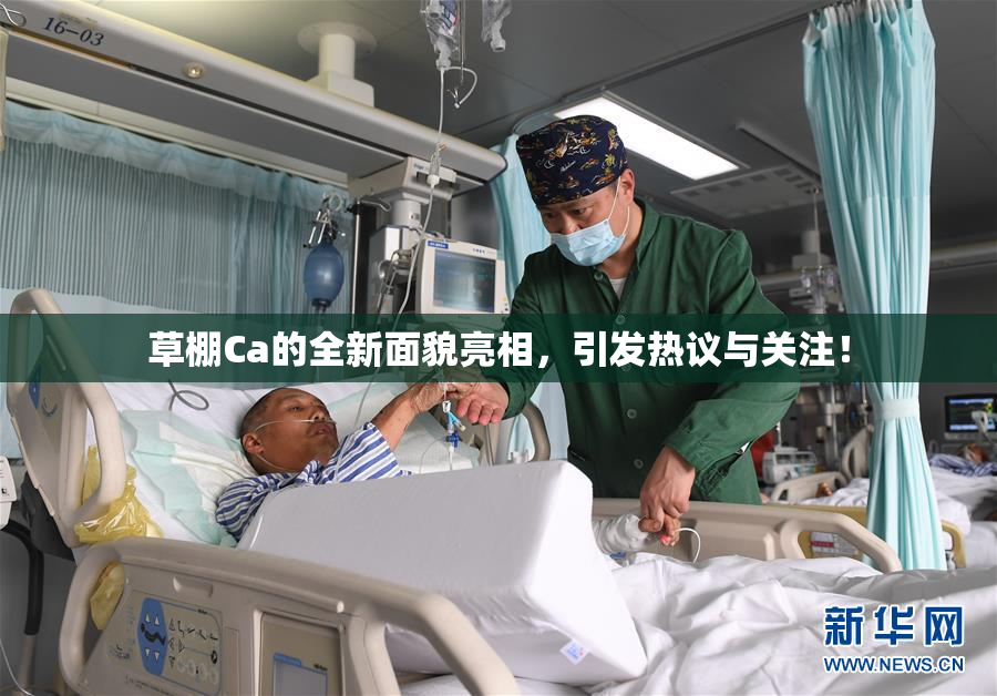 草棚Ca的全新面貌亮相，引发热议与关注！