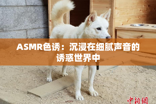 ASMR色诱：沉浸在细腻声音的诱惑世界中