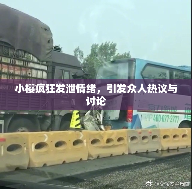 小樱疯狂发泄情绪，引发众人热议与讨论