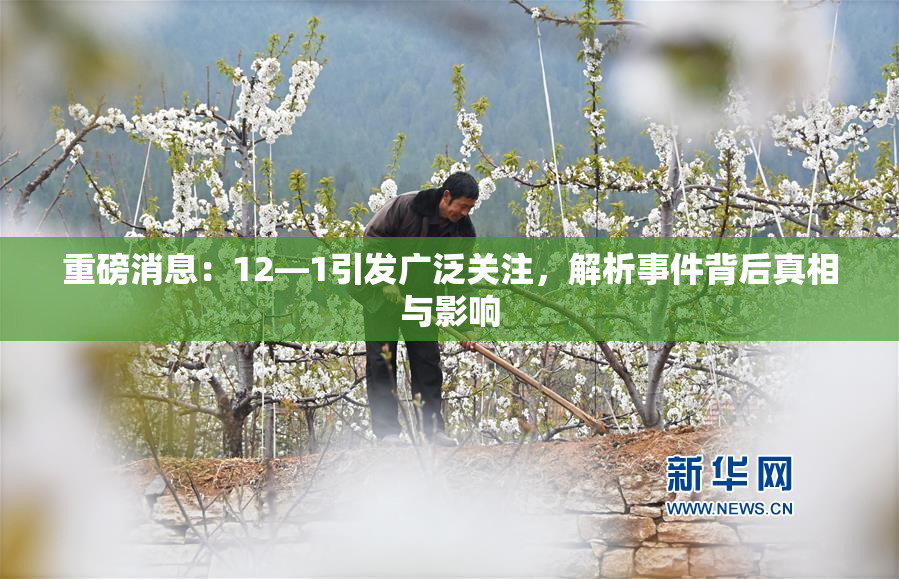 重磅消息：12—1引发广泛关注，解析事件背后真相与影响