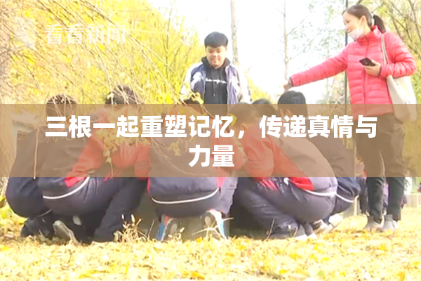 三根一起重塑记忆，传递真情与力量