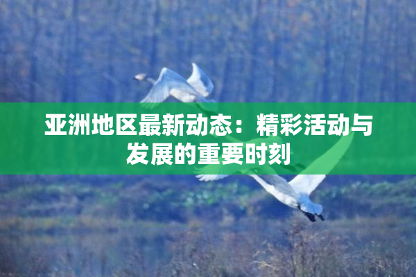 亚洲地区最新动态：精彩活动与发展的重要时刻