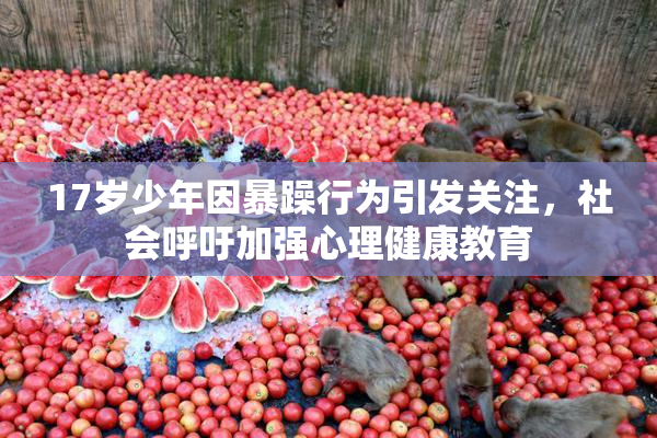 17岁少年因暴躁行为引发关注，社会呼吁加强心理健康教育