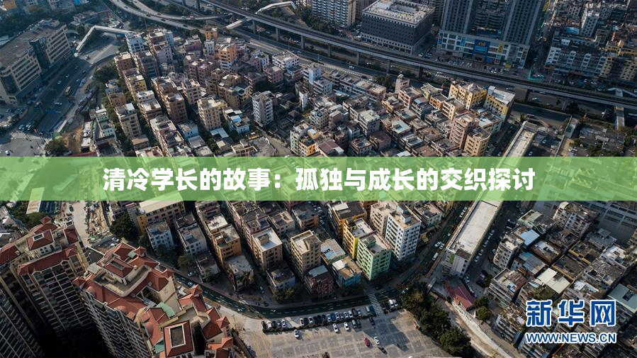 清冷学长的故事：孤独与成长的交织探讨