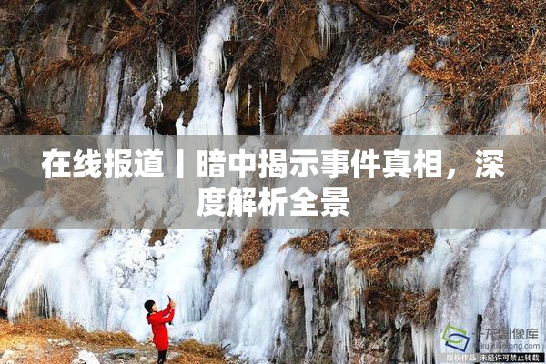 在线报道丨暗中揭示事件真相，深度解析全景