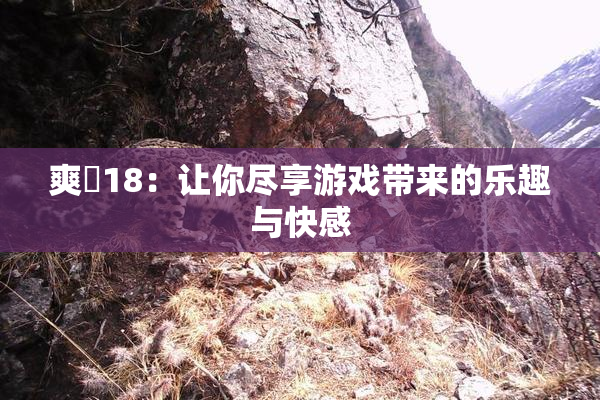 爽擼18：让你尽享游戏带来的乐趣与快感