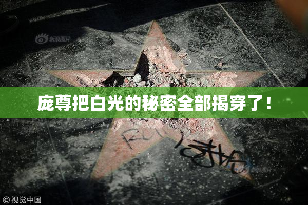 庞尊把白光的秘密全部揭穿了！