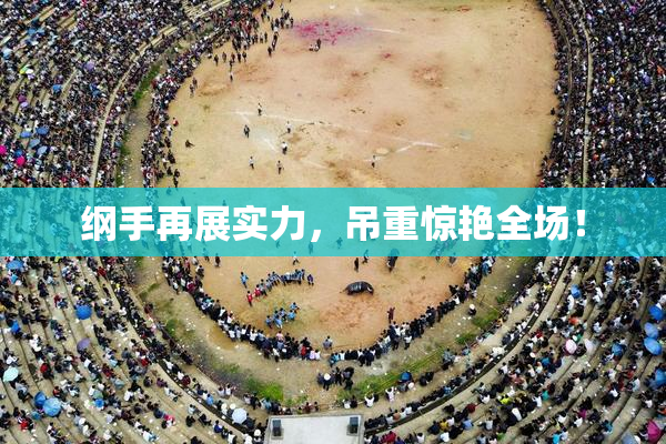 纲手再展实力，吊重惊艳全场！