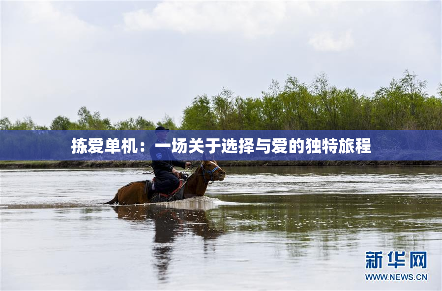 拣爱单机：一场关于选择与爱的独特旅程