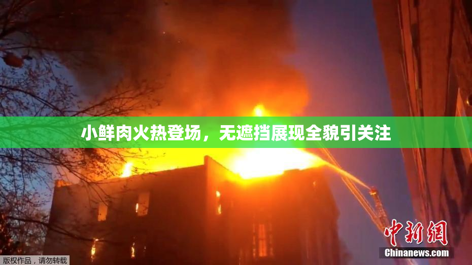 小鲜肉火热登场，无遮挡展现全貌引关注