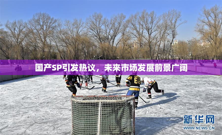 国产SP引发热议，未来市场发展前景广阔