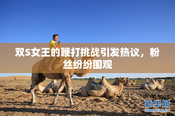 双S女王的鞭打挑战引发热议，粉丝纷纷围观