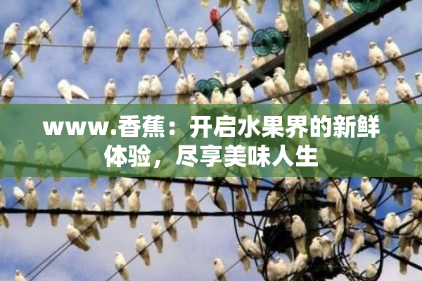 www.香蕉：开启水果界的新鲜体验，尽享美味人生